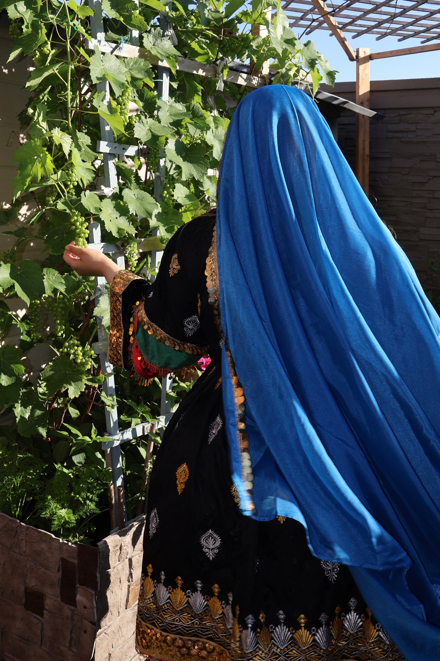 Afghan Dress - Parwana