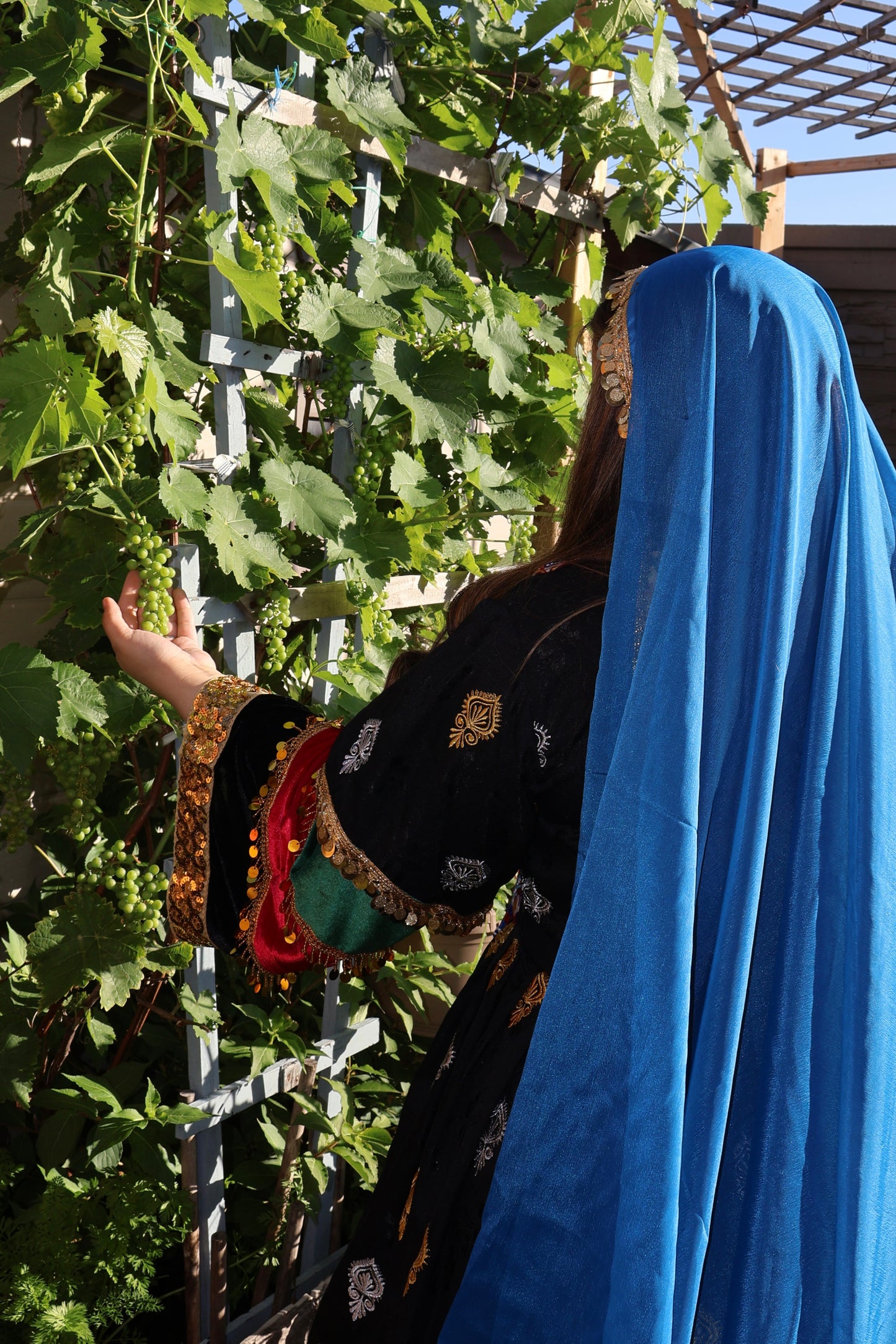 Afghan Dress - Parwana